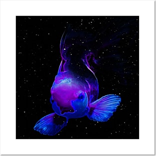 The Blue Fish Posters and Art